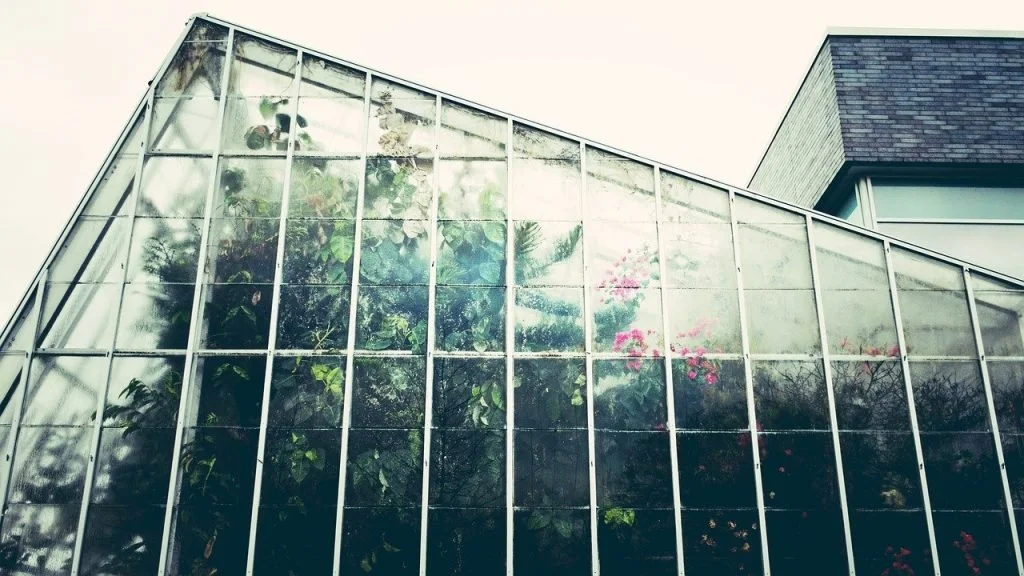 Greenhouse Windows - How to Clean | Wishy Washy Windows