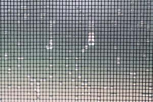 Blog 5 How to clean your window screens the best