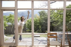 Blog 4 Woman cleans her own windows which are streak free