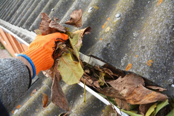Services 5 Man gutter cleaning with hand